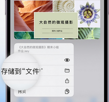 错那apple维修中心分享iPhone文件应用中存储和找到下载文件