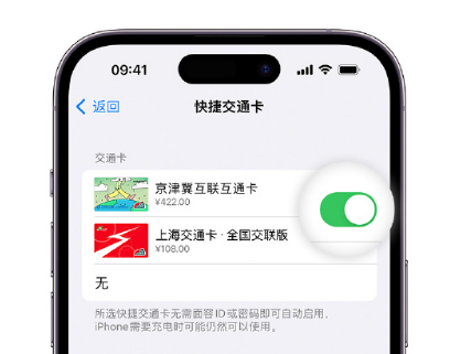 错那apple维修点分享iPhone上更换Apple Pay快捷交通卡手绘卡面 