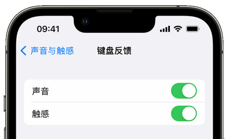 错那苹果手机维修分享iPhone 14触感键盘使用方法 