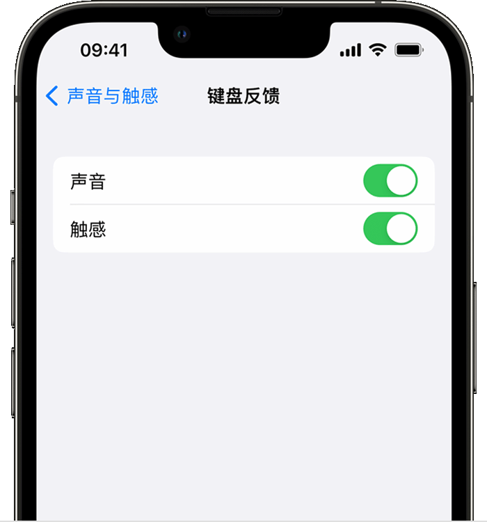 错那苹果14维修店分享如何在 iPhone 14 机型中使用触感键盘 