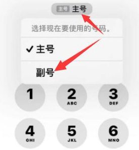 错那苹果14维修店分享iPhone 14 Pro Max使用副卡打电话的方法 