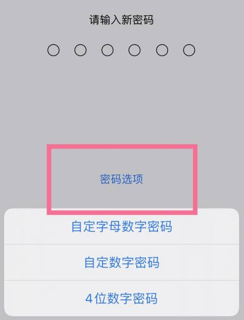 错那苹果14维修分享iPhone 14plus设置密码的方法 