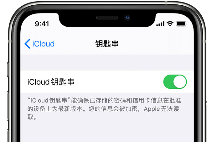 错那苹果手机维修分享在 iPhone 上开启 iCloud 钥匙串之后会储存哪些信息 