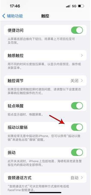 错那苹果手机维修分享iPhone手机如何设置摇一摇删除文字 